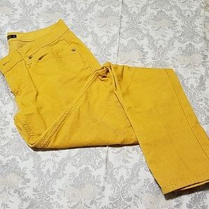 Mustard yellow cords